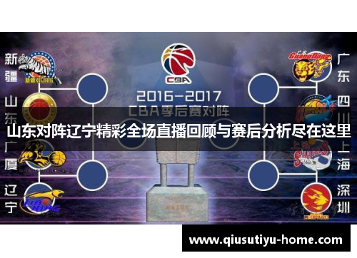 山东对阵辽宁精彩全场直播回顾与赛后分析尽在这里